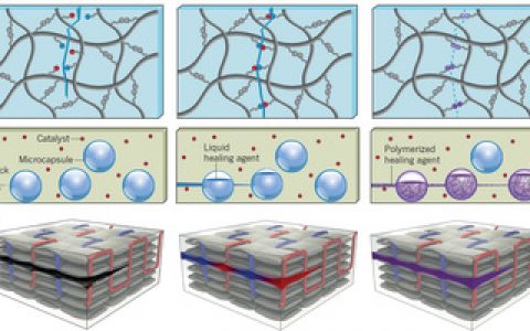 能够适应环境并可以自我修复的材料