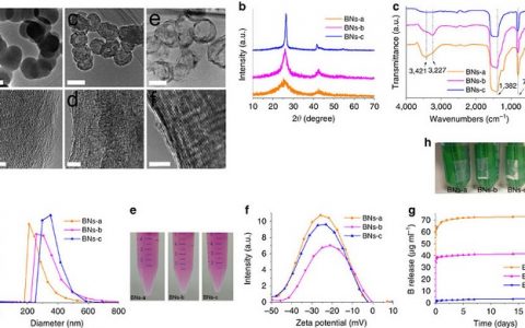 Nature子刊:中空氮化硼纳米球作为B元素容器用于治疗前列腺癌症