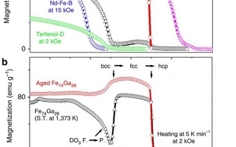 Nature子刊:一种高热稳定性的天然复合铁磁材料