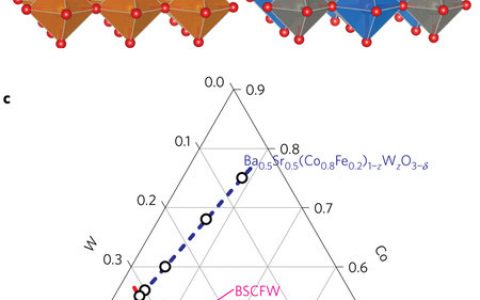 Nature子刊:自组装的双相钙钛矿阴极用于中温固体氧化物燃料电池