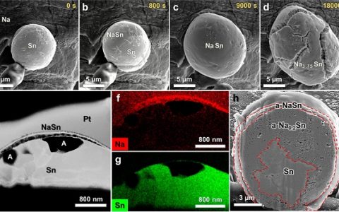 Nano Lett.:在Na−Sn电池的钠化过程中Zintl离子及其的构型变化