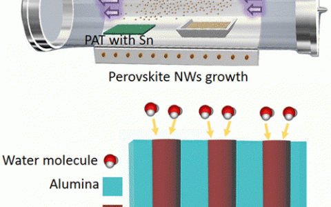 Nano Lett.:稳定存在于纳米工程模板中的无铅钙钛矿纳米线用于光电探测