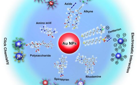 Acc. Chem. Res. 蒋兴宇最新综述:小分子表面修饰金纳米颗粒用于生化分析