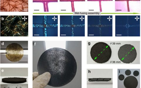 Nature子刊:无序石墨烯纤维组成多功能石墨烯无纺布