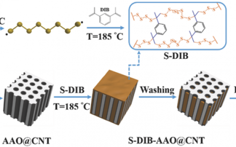 Adv. Mater. 金属所锂硫电池：富硫共聚物@CNT复合正极实现多硫化物的双限域作用