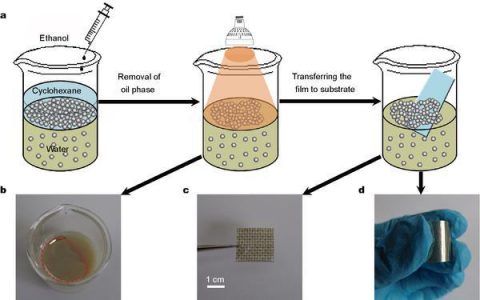 Sci. China Mater.：光焊接纳米粒子——从金属溶胶到自支撑、导电性金属薄膜