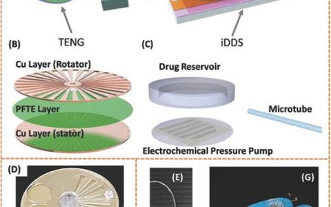 Adv. Mater.:基于摩擦纳米发电机的自供电可植入药物输送系统