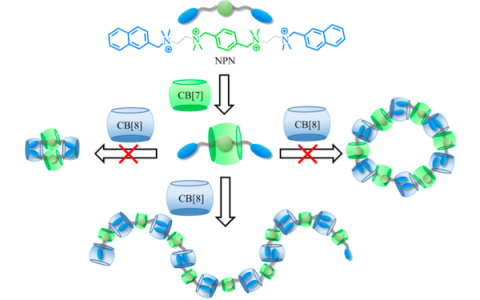学术干货|快速了解超分子聚合物的前世今生