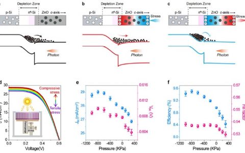 王中林ACS Nano:压电光电子效应用于提高硅基太阳能电池效率