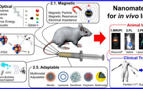 Chem. Rev.最新综述：用于体内成像的纳米材料