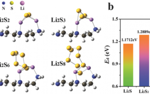 Adv.Mater.:应用于高能锂硫电池的一种新型多功能极性粘结剂