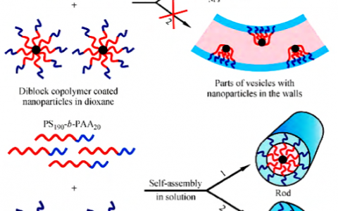 学术干货|嵌段共聚物调控纳米粒子自组装的研究进展