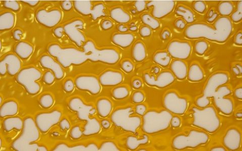 二维体系熔化形态