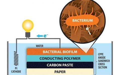 “纸质”微生物燃料电池
