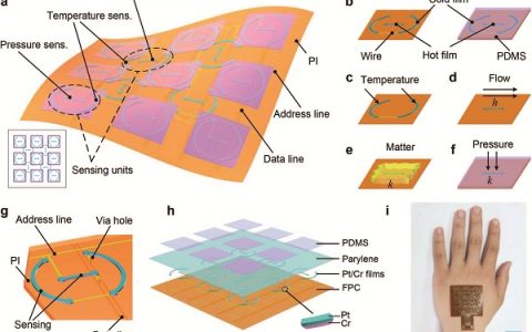 Adv.Mater.：基于温度感知多功能传感器的电子皮肤