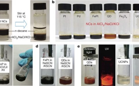 Nature：熔融无机盐中的稳定胶体系统