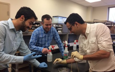 橡胶助柔性电子器件散热