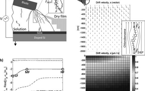 Adv. Funct. Mater.：电场调控用于分子排列及溶液剪切涂覆的有机半导体薄膜的电学性质