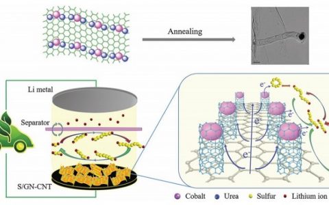Adv. Energy. Mater：南开大学-三维石墨烯-碳纳米管复合材料用于高效锂硫电池