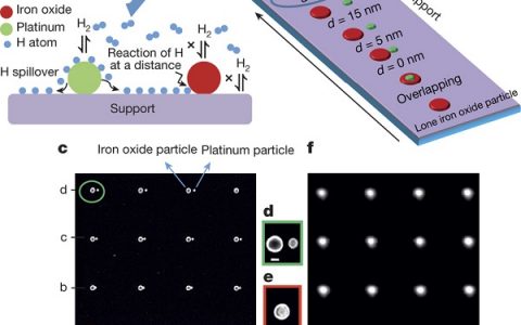 Nature & Science：1月材料领域科研成果汇总