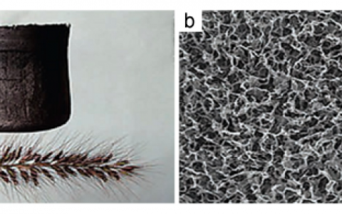 学术干货 |一文读懂超轻材料研究进展