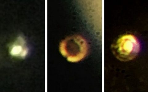 出大事了 全球首个金属氢“没了”！