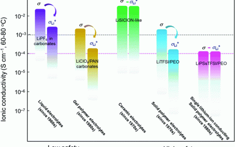 Chem.Soc.Rev.综述：单锂离子导电固体聚合物电解质的发展和展望