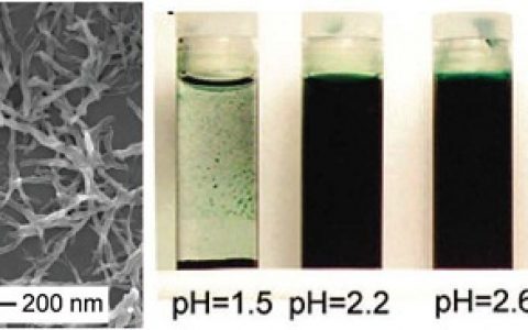 Chem. Soc. Rev.最新综述:聚苯胺在导电聚合物领域的广泛应用