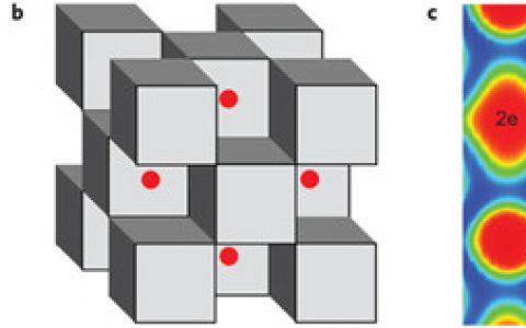 Nature子刊：万年单身狗的