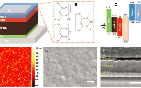 南方科技大学Adv. Mater.:效率超16%的大面积钙钛矿电池-金属乙酰丙酮化合物用于界面改性提高稳定性