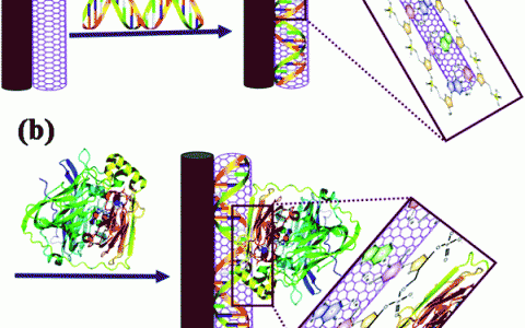 朱俊杰Chem. Soc. Rev. 最新综述：基于纳米结构材料生物燃料电池的近期进展和未来展望