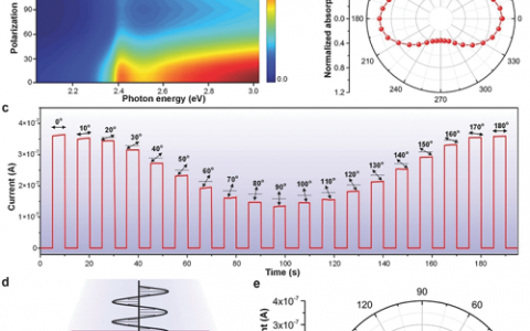 Adv.Mater.:一种高性能极性敏感光电探测器用一维对称排列钙钛矿结构材料