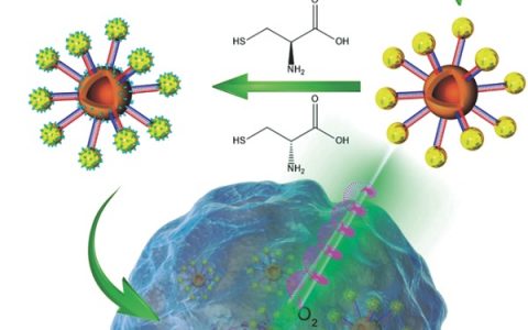 Adv. Mater.：手性等离子体壳-卫星纳米组装的单线态氧产生剂