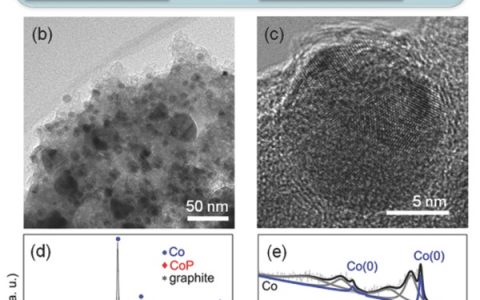 上海交大Adv. Energy Mater.:高效Mott–Schottky整体水分解催化剂-Co/CoP Janus纳米粒子