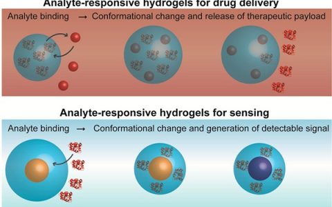 Acc. Chem. Res.综述:分析物响应型水凝胶:用于生物传感和药物输送的智能材料