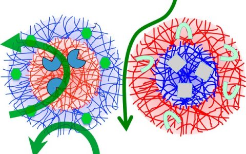 Acc. Chem. Res. 最新综述:功能微凝胶和微凝胶系统