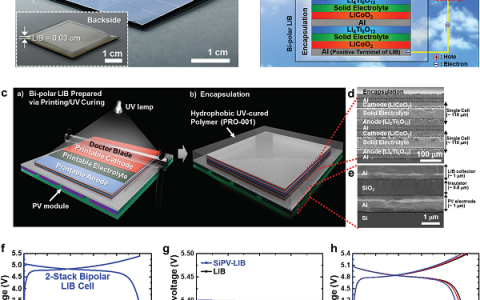 Energy. Environ. Sci. 蔚山国立科技研究所：太阳能电池与锂离子电池的结合—单片集成的便携式电源