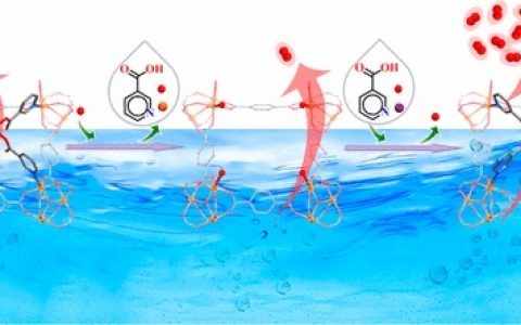 中山大学JACS:模块化逐步合成复合MOF用于析氧反应的高效电催化