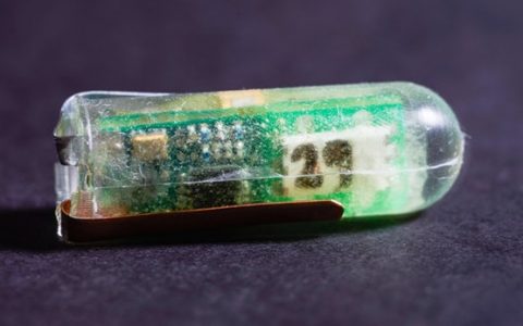 胃酸电池?想象力Max!