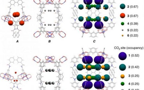 Nat. Commun. ：四酰胺官能化的MOFs内异常乙炔和二氧化碳吸附性能