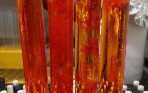 了不起的希瓦氏菌，清洁与发电两不误！