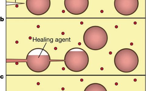 学术干货︱微胶囊自修复材料知多少?