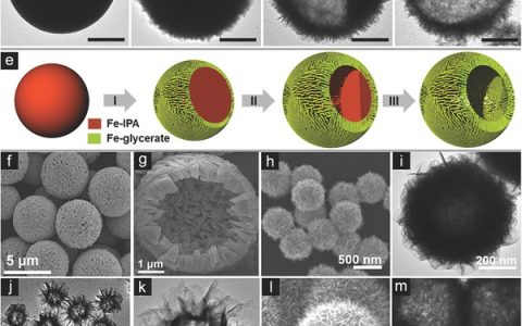 楼雄文AM综述：复杂中空纳米结构的合成及其在能源领域的应用
