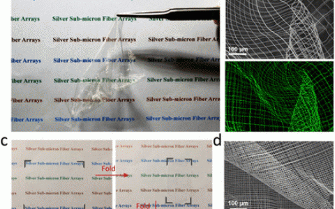 Nano Lett.：可持续拉丝纺制备可形成微米图案的超长银亚微米纤维