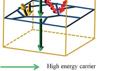 Adv. Energy Mater.:晶界工程提高n型方钴矿热电性能
