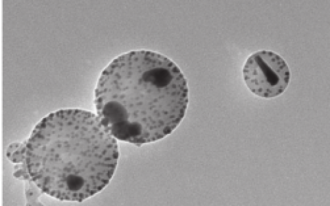 学术干货|那些制备聚合物金属纳米胶囊的方法