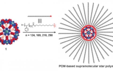 学术干货丨最全的超分子聚合物使用指南