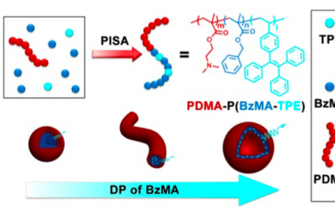 Macromolecules:清华大学-聚集态诱导发光(AIE)与自组装聚合物纳米结构相关性研究