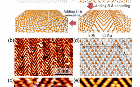 Nano Lett.:单层硅材料在钌衬底上生长结构变化顺序揭秘-从人字形结构到硅烯结构