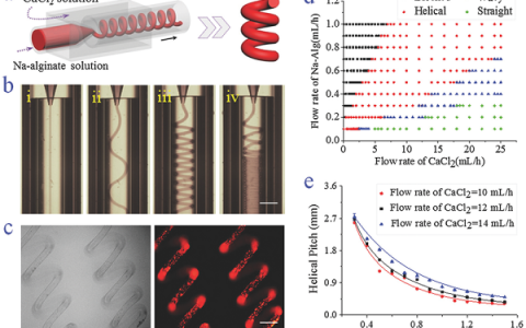 Adv. Mater.：微流体装置获得的仿生螺旋超细纤维